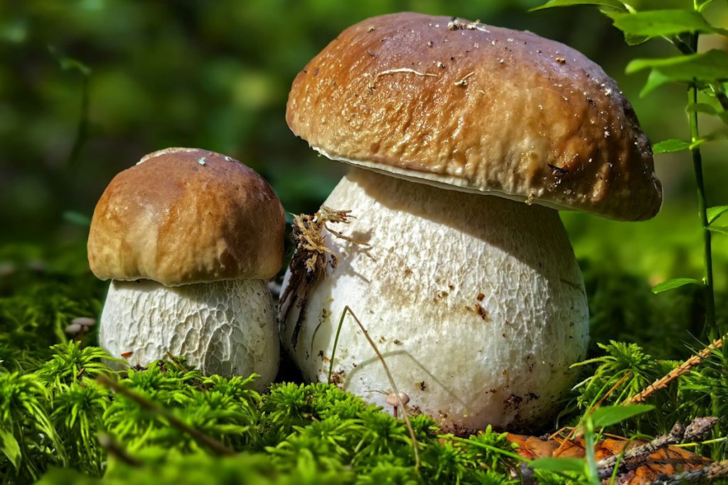 78